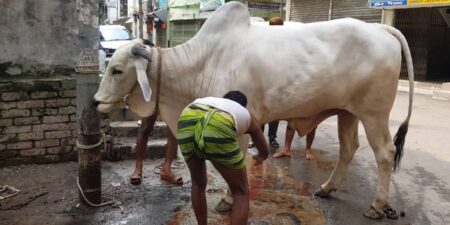 কোরবানি