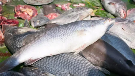 তাজা মাছ চেনার উপায়