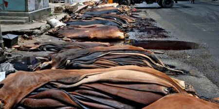 পশুর চামড়া