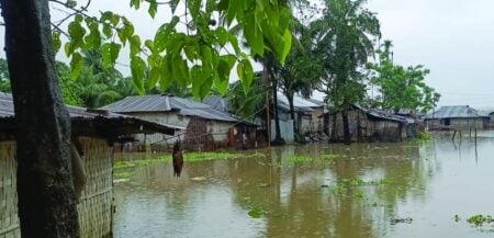 ভারী বর্ষণ