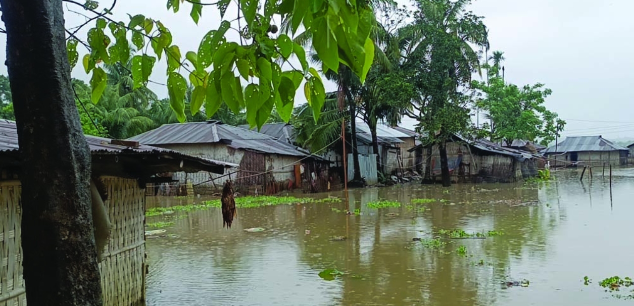 ভারী বর্ষণ