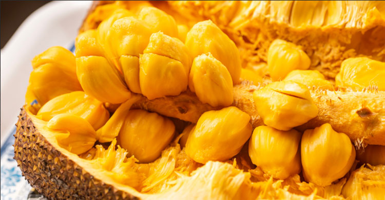 মিষ্টি কাঁঠাল চেনা