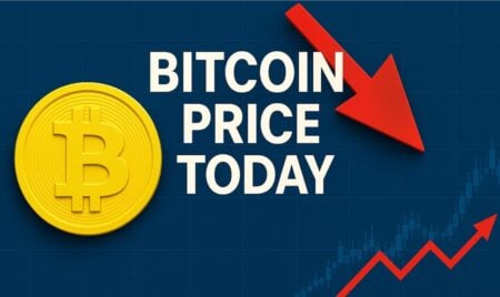 Bitcoin Price Today: Why Is BTC Dropping as Tariffs Bite, Whales Sell Bitcoin Price Today