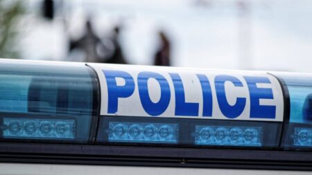 Jennifer Escaler TikTok Video: Deputy Under Fire for “Ticket Quota” Remark Sparks Police Conduct Debate NYPD Officer Didarul Islam