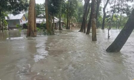 বৃষ্টি ও জোয়ারে প্লাবিত