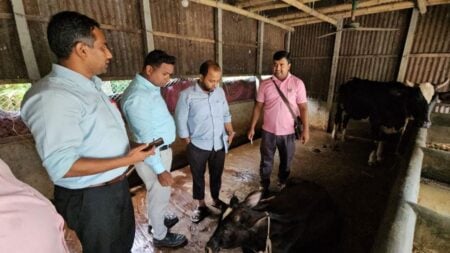 বাড়ছে লাম্পি স্কিন রোগ