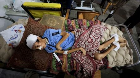 খাবারের অভাবে নিঃশেষ হচ্ছে প্রাণ—গাজায় আরও ১৫ জনের মৃত্যু খাবারের অভাবে নিঃশেষ