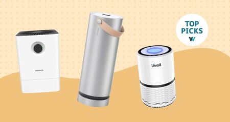 Best Air Purifiers for Allergy Sufferers