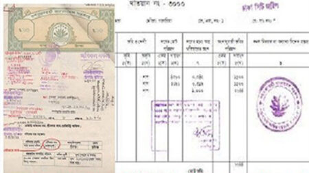 জমির মালিকানা