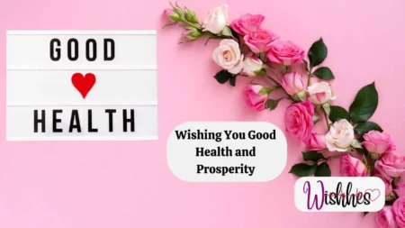 The Health Wealth Visionary: Pioneering Good Health Good Wealth in Modern Living Health Wealth Visionary