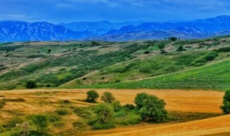 Heilongjiang Farming Boosted by Digital Innovation Heilongjiang Farming Boosted by Digital Innovation