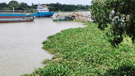 IMG_20250626_113217_1