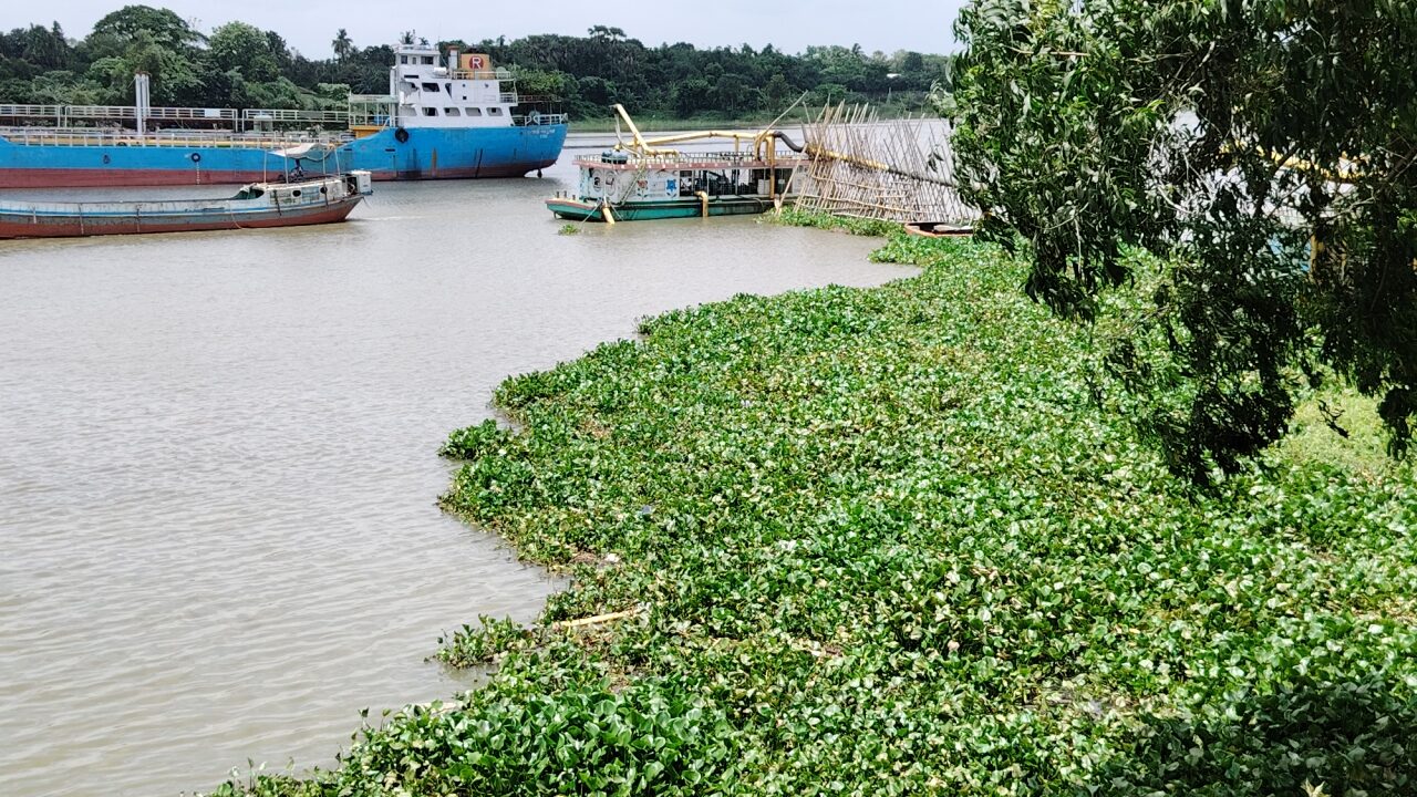 IMG_20250626_113217_1