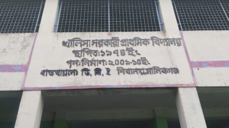 Manikganj School