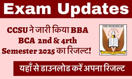 CCSU BBA BCA Result 2025