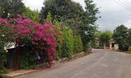 বাংলাদেশের সবচেয়ে পরিচ্ছন্ন গ্রাম মুনলাই পাড়া Munlai para