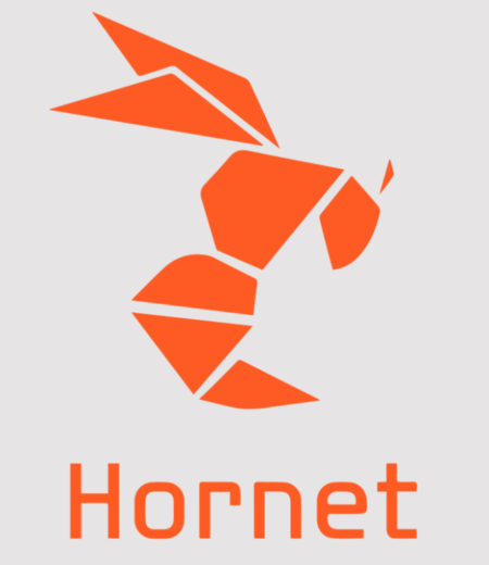 Hornet Social Innovations: Leading LGBTQ+ Community Engagement