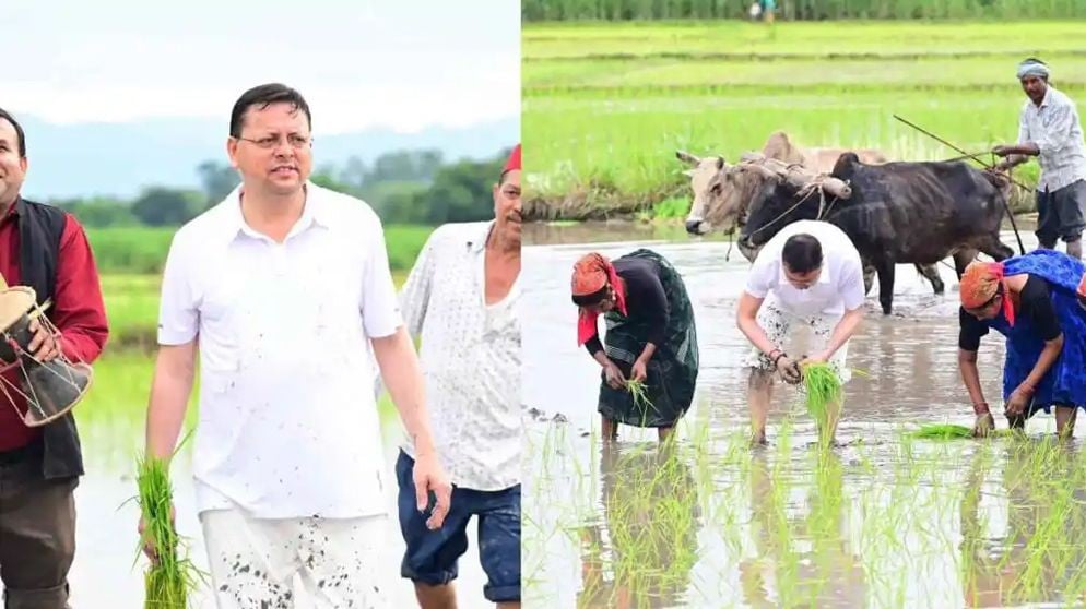 Uttarakhand CM farming