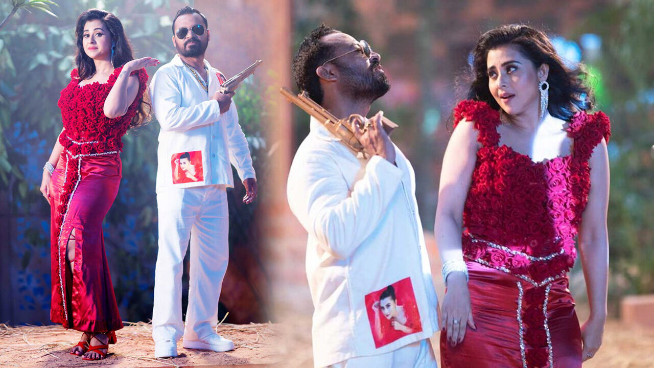 লাল গোলাপী বুবলী