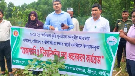 গাজীপুরে ১০ হাজার চারা ধ্বংস, ক্ষতিপূরণ ৪০ হাজার design