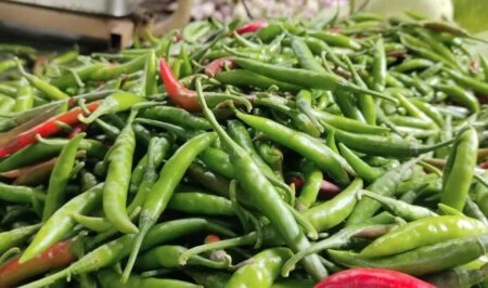 হঠাৎ কাঁচা মরিচের দাম বৃদ্ধি, কেজি ৩০০ টাকা green chili
