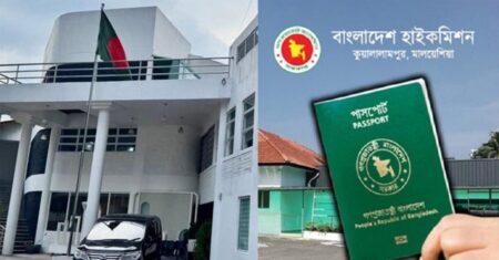 মাল্টিপল এন্ট্রি ভিসা