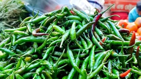 কাঁচা মরিচের দাম