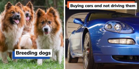 Reddit Roasts 19 ‘Rich People Hobbies’: Unused Supercars, Trophy Hunts & Gold Toilets Rank High rich people hobbies