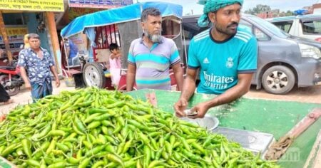 কাঁচামরিচের দাম