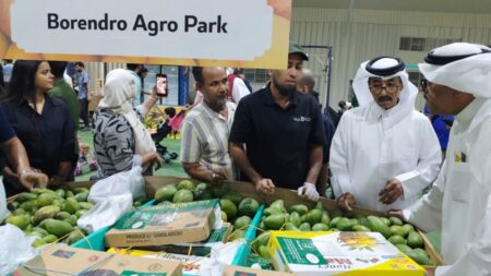 নওগাঁর সাপাহারের আম