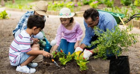 পরিবেশ বান্ধব জীবনধারা: আপনার শুরু করার সহজ উপায় পরিবেশ বান্ধব জীবনধারা