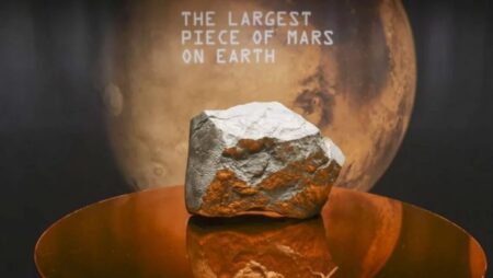 নিউ ইয়র্কের নিলামে মঙ্গল গ্রহ থেকে আসা পাথর বিক্রি হলো ৫৩ লাখ ডলারে পাথর বিক্রি