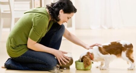 পোষা প্রাণীর যত্ন কিভাবে নিতে হয়: আপনার পোষার জন্য গাইড পোষা প্রাণীর যত্ন