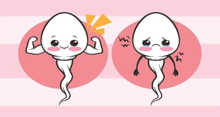 এক ফোঁটা বীর্য তৈরিতে কত ফোঁটা রক্ত লাগে? অনেকেই জানেন না বীর্য