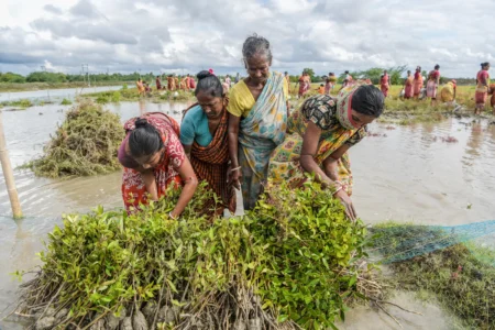 সামাজিক কাজের গুরুত্ব