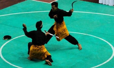 pencak silat
