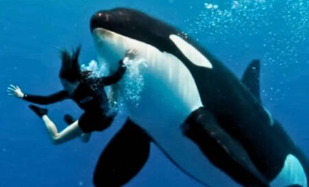 jessica radcliffe orca