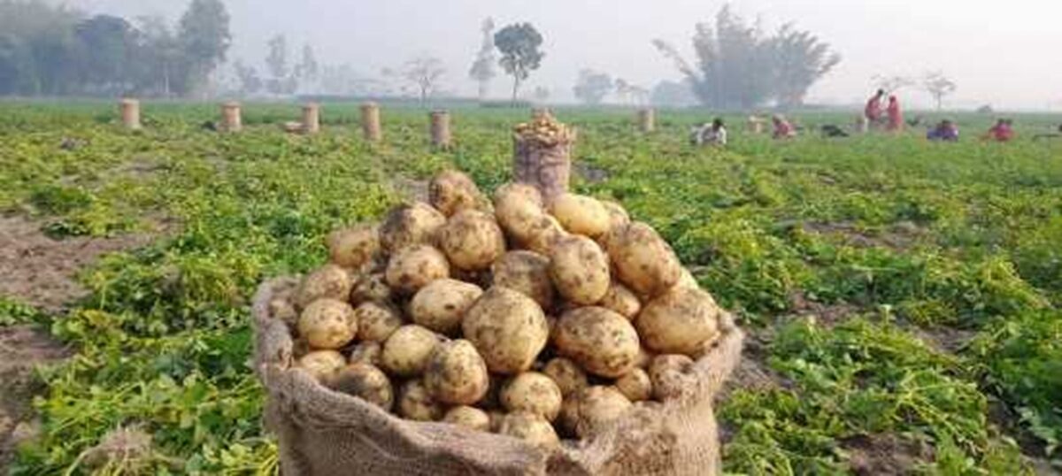 রপ্তানি বেড়ে পাঁচগুণেরও