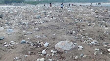 পাথর চোরদের বিরুদ্ধে আইনি ব্যবস্থা নিতে হাইকোর্টে আবেদন পাথর চোরদের বিরুদ্ধে