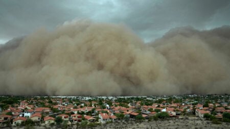 What Is a Haboob? Explaining the Giant Dust Storms Phoenix Dust Storm Triggers Major Power Outage