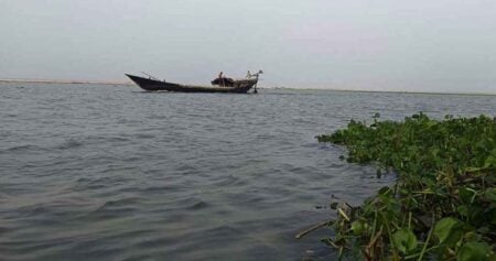 বিপৎসীমার কাছাকাছি পদ্মার পানি, নিরাপদ আশ্রয়ে চরবাসী বিপৎসীমার কাছাকাছি