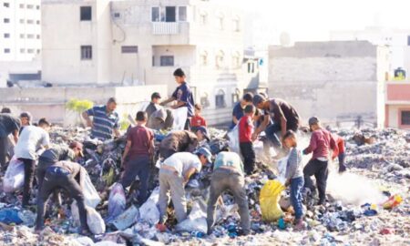 ভাগাড়েই খাবার খুঁজছেন