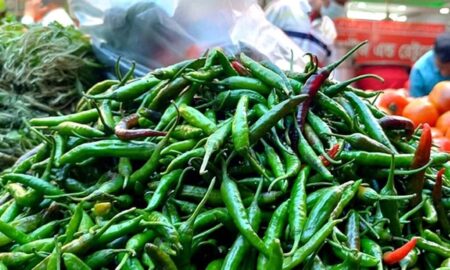 কাঁচামরিচ আমদানিতে সরব দিনাজপুরের হিলি বন্দর কাঁচামরিচ আমদানিতে সরব