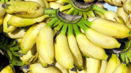 কলা কখন খেলে বেশি উপকার, দিনে না রাতে? Banana