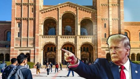 California University