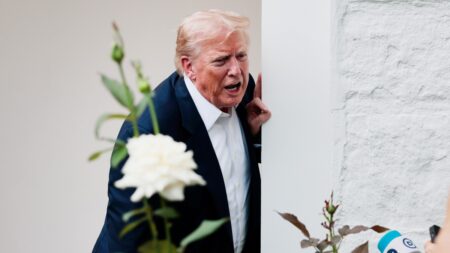 White House Rose Garden Unveils $1.9M Stone Patio Renovation Rose Garden Makeover