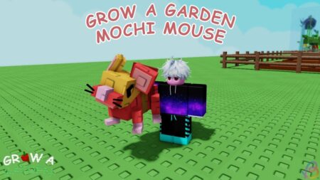 Mochi Mouse