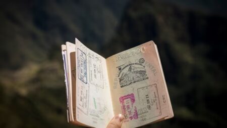 Indian Doctor's 30-Second US Visa Approval Sparks Debate
