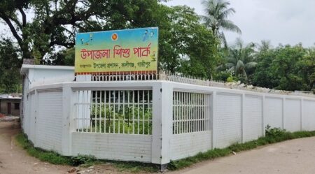 কোটি টাকার শিশু পার্কে এখন শুধু বন-জঙ্গল, নষ্ট হচ্ছে রাইড-খেলনা Kaligonj-Gazipur-The multi-million-taka children's park is now just a forest and jungle- (2)