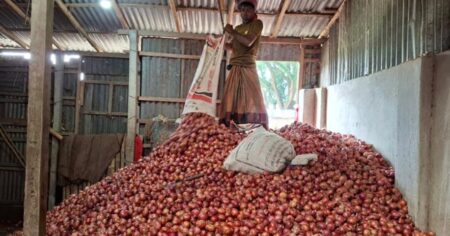 পেঁয়াজের দাম এক লাফে মণপ্রতি ৫০০ টাকা বেড়েছে Onion